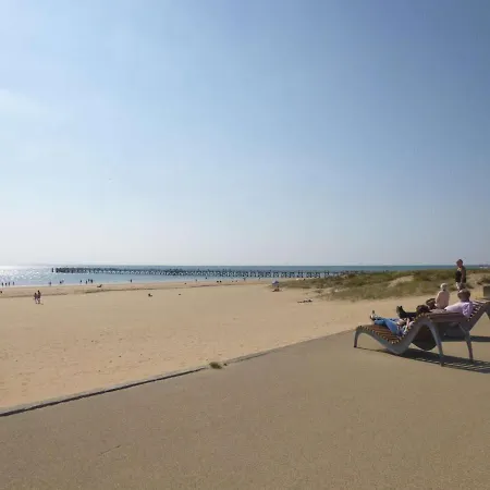 Face Avec Balcon, 50m Plage, 5 Couchages, Parking, - Fr-1-224c-187 Apartman