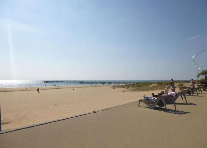 Face Avec Balcon, 50m Plage, 5 Couchages, Parking, - Fr-1-224c-187 Apartment